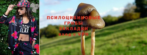 амф Бронницы