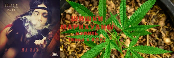 кокс Данков
