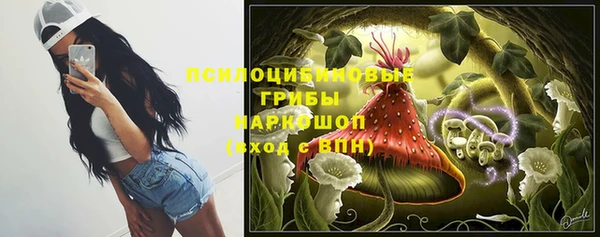 амф Бронницы