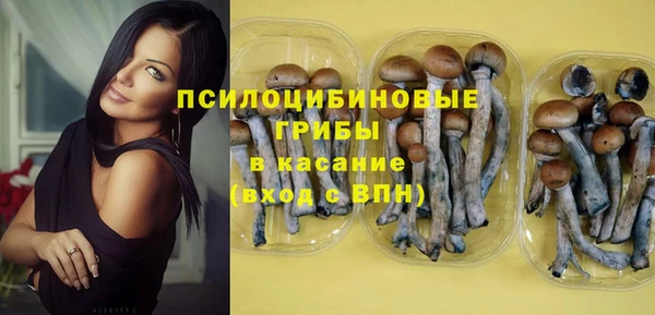 амф Бронницы