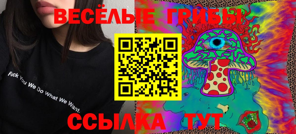 Галлюциногенные грибы MAGIC MUSHROOMS  Вход с VPN  купить наркоту  Вязники  Галлюциногенные грибы мухоморы 